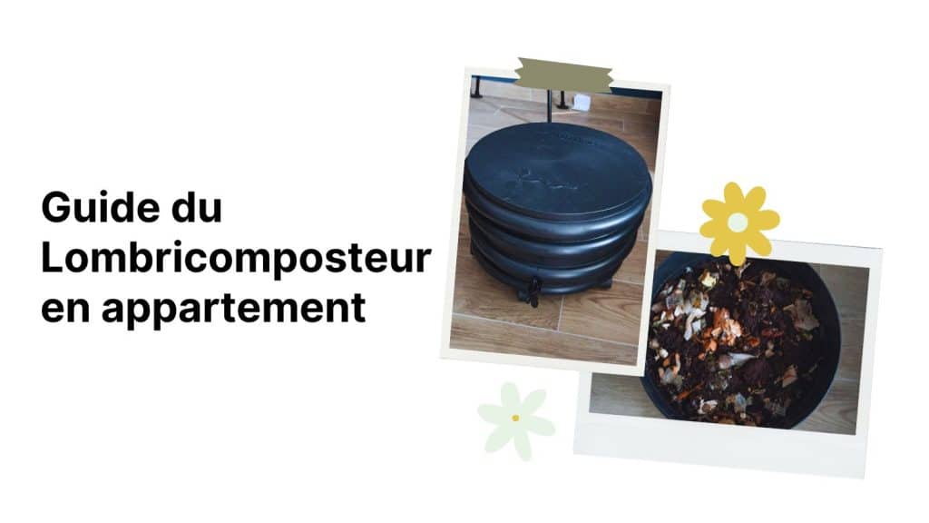 lombricomposteur en appartement : le guide