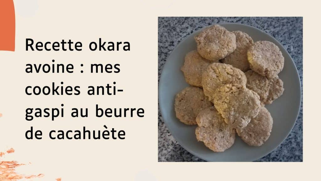 header recette cookies okara avoinr beurre de cachuètes