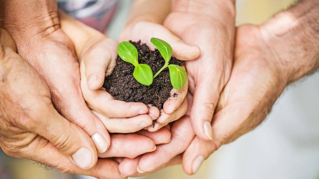 écologie en famille